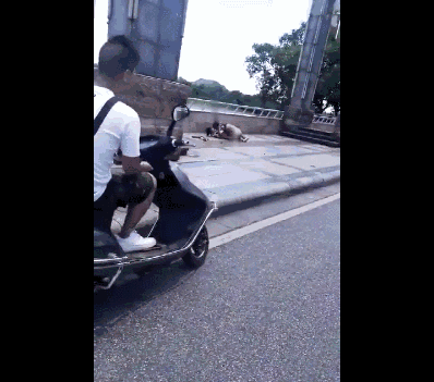 1103b19ac149a4625f0994c26bca4142.gif
