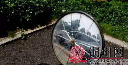 A6B30E2BF04ACC8F2CFFC9AEBE52509C85362193_size20_w435_h220.jpeg