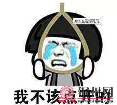 DDD49F65D928AD859EBD0A5DE724386022CBF05E_size22_w401_h361.jpeg