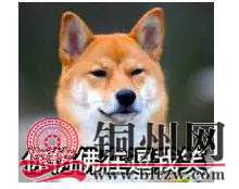 68B15547C7A0EEDE6BA9989DD2E52297B66AA4C8_size7_w220_h174.jpeg