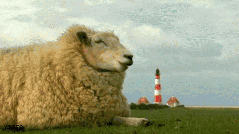 b3dd90a260d044e9bac3a48d55457923.gif