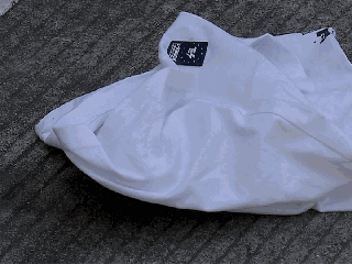 010e1ef1c75b48b7a4aeedd5a2663321.gif