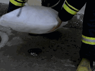0a3be9ed413f4c04baf26a9665a95b9e.gif
