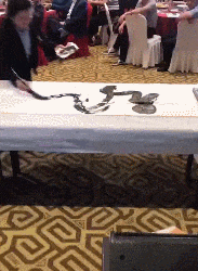 ae7e55df2414954_w183_h250.gif