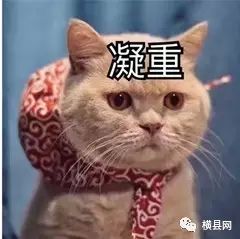 f4bf24241f3e5b2acff59bd83afdd9df.jpg