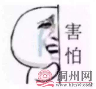 e15fe90d4c54a77507c9eabacbbb0711.jpg