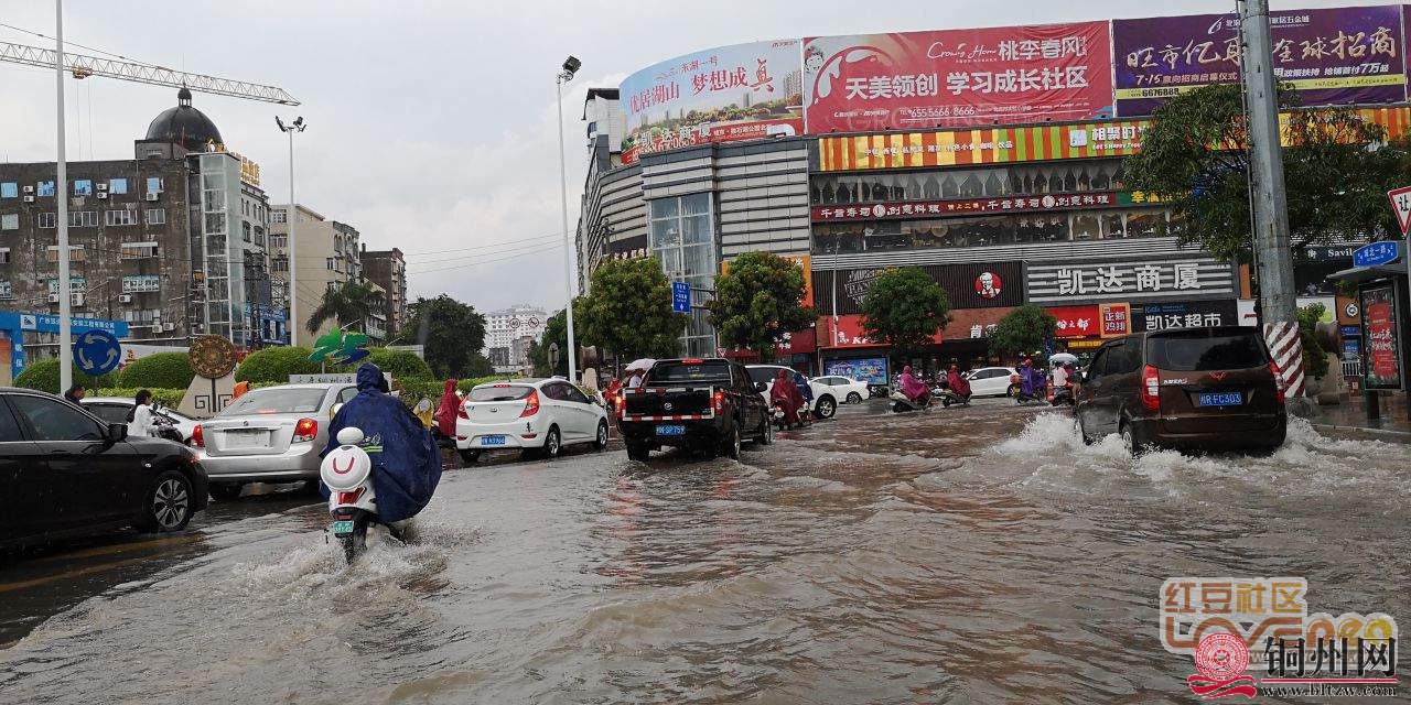 getimg.php?url=http%3A%2F%2Fpic.hongdou.gxnews.com.cn%2Fpicbbs%2Fbig%2F2018%2F0721%2F3790088_23df8de48a83676239fc1545afaa1c17.jpg