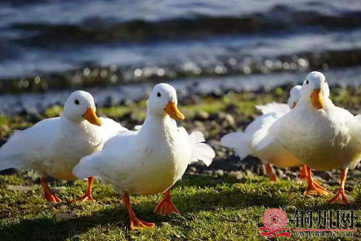 B3C2EBA65E838BE1859533DEFA941AF90C866E5F_size59_w719_h481.jpeg