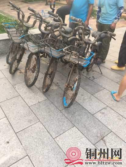 getimg.php?url=http%3A%2F%2Fpic.hongdou.gxnews.com.cn%2Fpicbbs%2Fbig%2F2018%2F0802%2F4245852_1e86a98c27af6e4f4e6d192b6a87a7ba.jpg