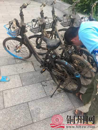 getimg.php?url=http%3A%2F%2Fpic.hongdou.gxnews.com.cn%2Fpicbbs%2Fbig%2F2018%2F0802%2F4245852_86fd5f954a686231038e72f36d7e4b71.jpg