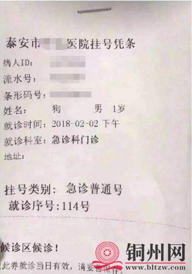 getimg.php?url=http%3A%2F%2Fn.sinaimg.cn%2Fgx%2Fcrawl%2F143%2Fw389h554%2F20180826%2FWS_x-hifuvph1623393.jpg