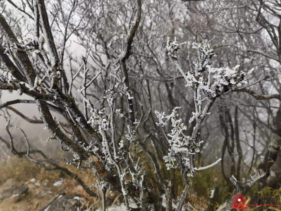 北流侬看哪！广西下雪啦~