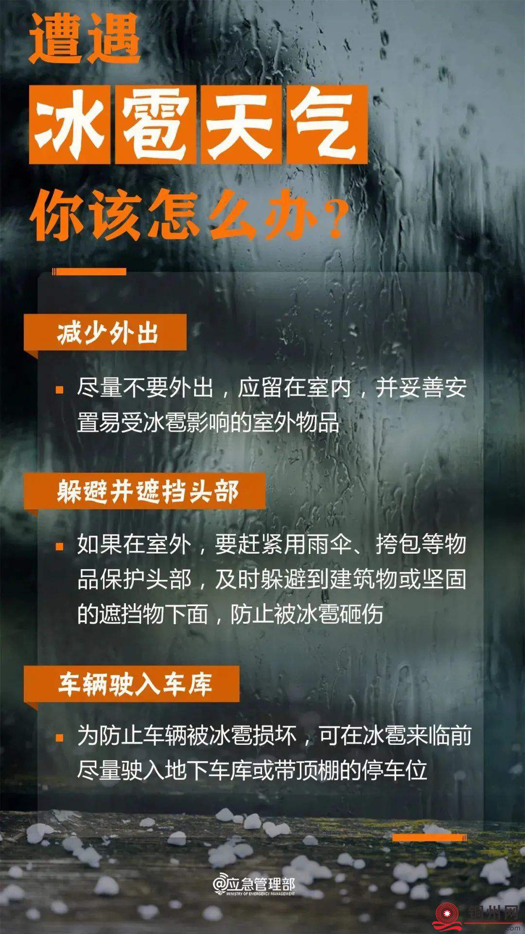 822eed9b9a65b56c512adba526885c3e.jpg