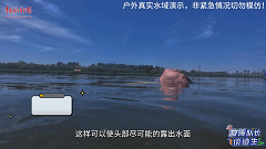 f5f0461ae57df18df0bd89b325b51f89.gif