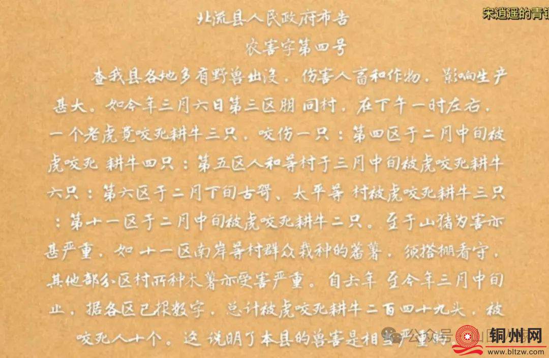 aa38fc388c33fe99cdd2fc2c9883f22a.jpg