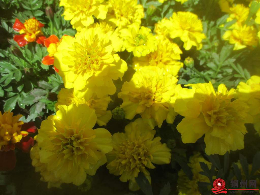 3467971_be16bd9a4797dd084d0912a9f503fffe.jpg