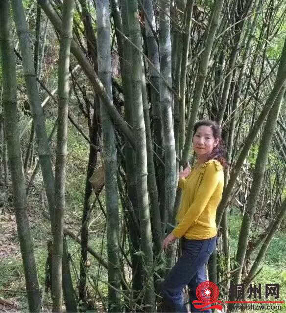 4716701_bcefad65a15e42dc6c1ec0b42811d6d5.jpg