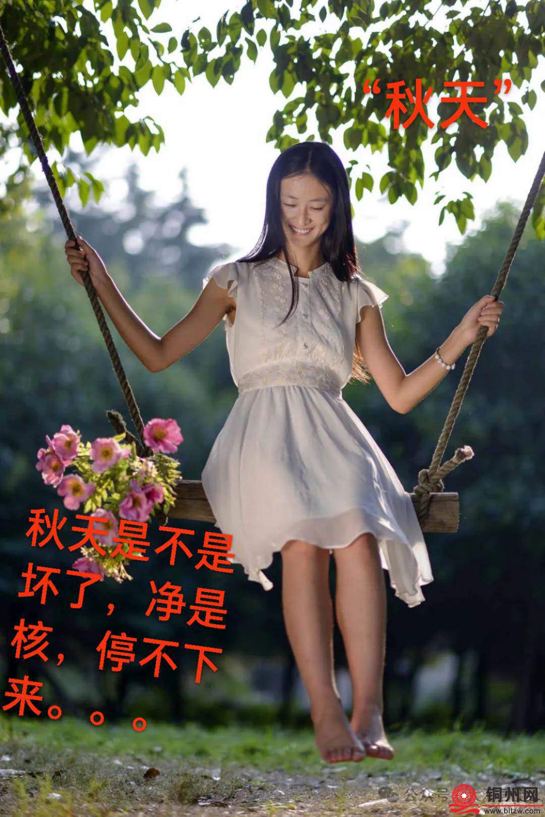 wechat_upload175919320268db2872d873f